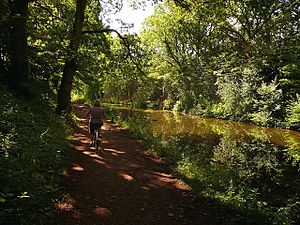 Gradnwesterncanalswansneck