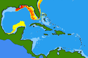 Halieutichthys aculeatus range.png