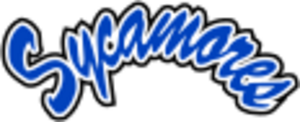 Indiana State Sycamores wordmark
