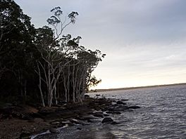 Lake Cootharaba 1.jpg