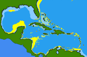 Lutjanus buccanella range.png