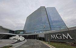 MGM Grand Opening (31159053010).jpg