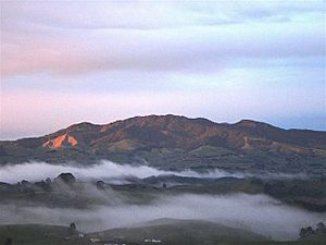 Maungatautari Morning Scene