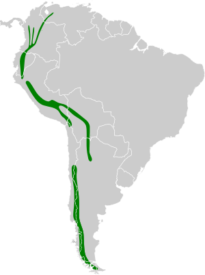 Merganetta armata map.svg