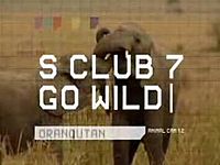 SClub7GoWildtitles.jpg