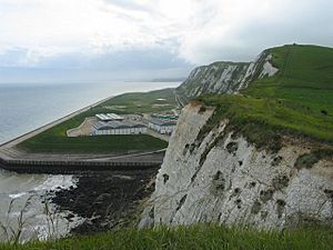 Samphire Hoe - geograph.org.uk - 12768.jpg