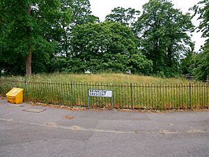 Shrewsbury Tumulus on Shooter's Hill