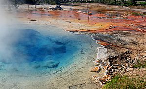 Silex spring in yellowstone