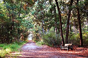 Skidaway Island State Park.jpg