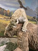 Smilodon and paramylodon at la brea