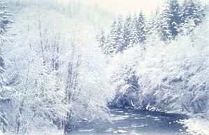 Snowy Salmon River