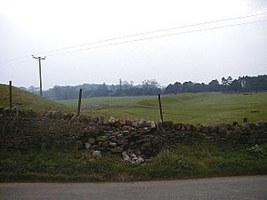 Stanwick Camp NW entrance