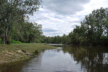 TexasDumaresqRiver.JPG