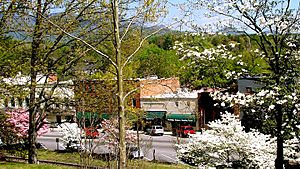 Trade Street, Tryon, North Carolina