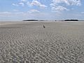 Tybee-island-south-lowtide-ga1