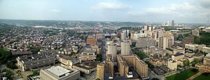 University of Pittsburgh (looking South-West) seen from the Cathedral of Learning May 14, 2010