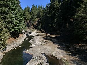 Upper Chehalis River