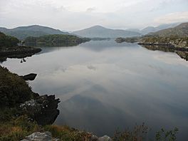 Upper Lake Killarney National Park.jpg