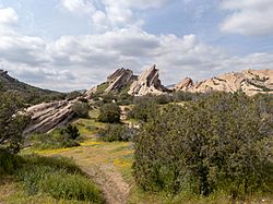 Vasquez Rocks chaparral