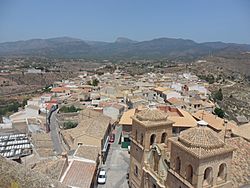 Vista de Aledo