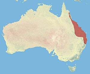 Whiptail Wallaby Range.JPG