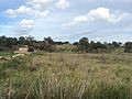 Zejtun farmlands