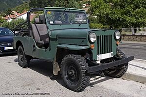 1979 Jeep-VIASA CJ-6 (6247698156)