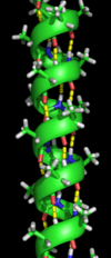 Alpha helix