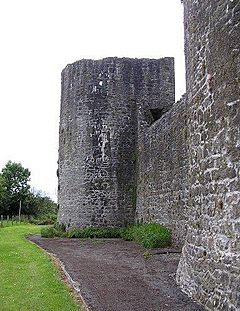 BallymoteCastle03