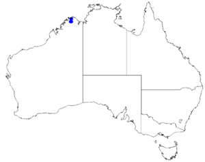 Boronia kalumburuensis DistMap67.png