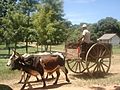 Carreta en 25 de diciembre