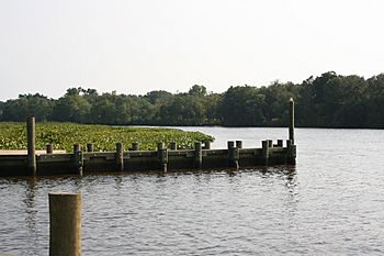 Choptank River Denton MD.jpg