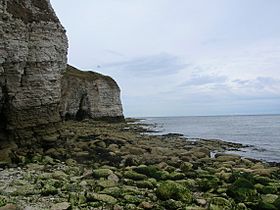 Cliffs at Flamborough Head