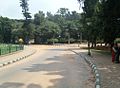 Cubbon Park Avenues