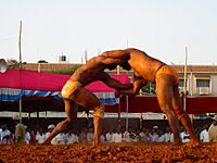 Davangere Wrestlers