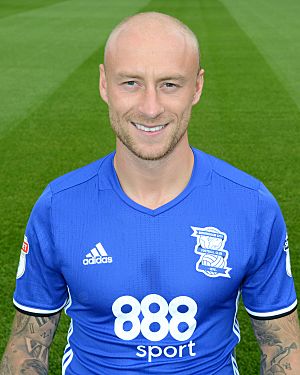 David Cotterill.jpg