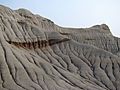 Dinosaur Provincial Park 08