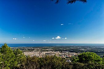 FASANO -PANORAMICA