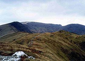 Fairfield Horseshoe