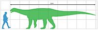 Ingentia size diagram.jpg