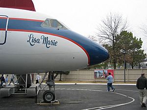 Lisa marie plane