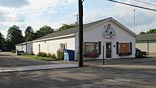 Maple Rapids, MI library