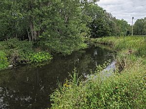 McCoy Creek Buchanan Michigan