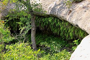 Meridian state park grotto.jpg