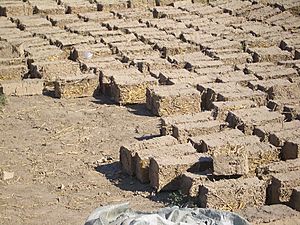 Milyanfan-adobe-bricks-8038