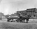 Molson's Brewery carriage Montreal 1908