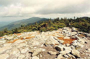 Mt Ellen Vermont seen from Mt Abraham.jpg