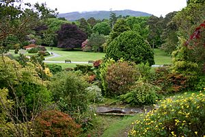 Muckross House Gardens