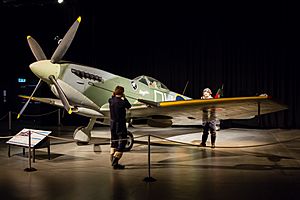 NZ050315 RNZAF Museum 04