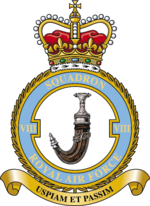 Squadron badge